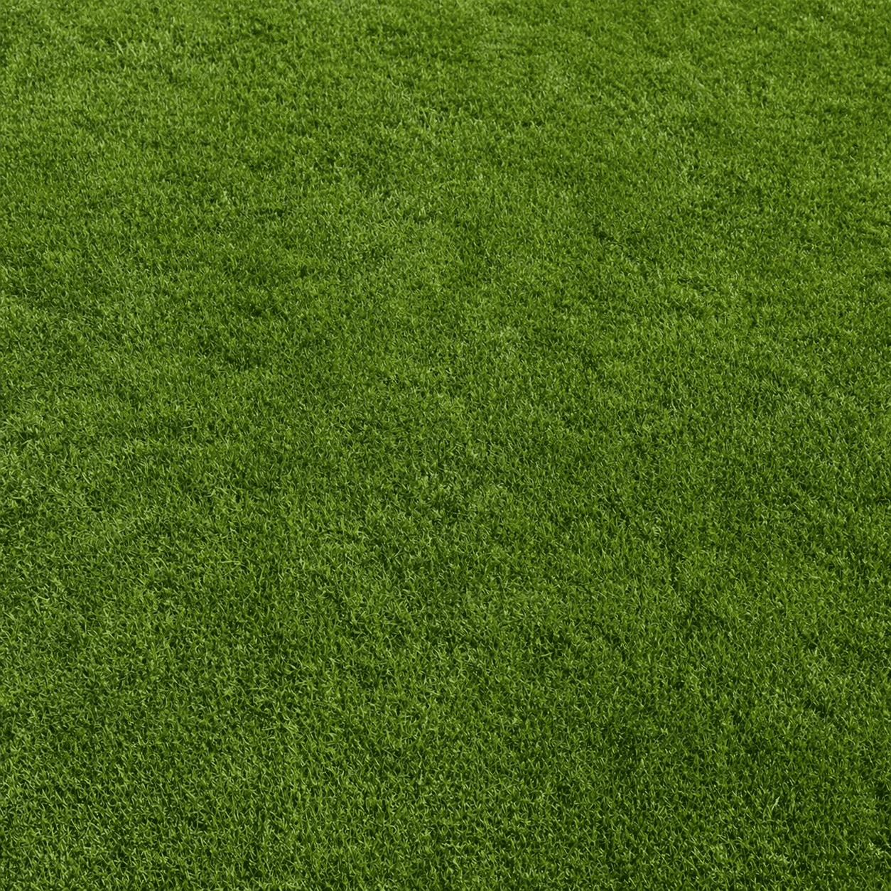 Trawnik po zastosowaniu GrassADD+